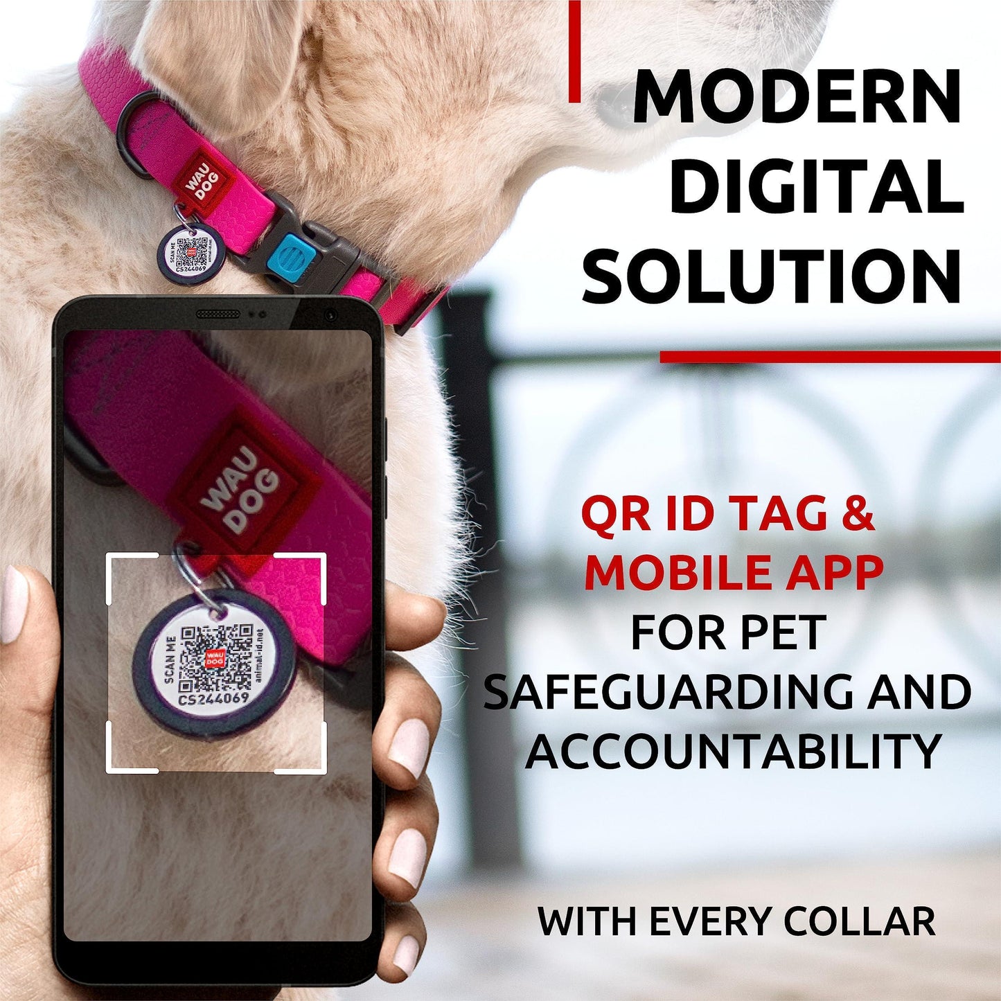 Waterproof Dog Collar Adjustable Dog Collar for Large Dogs Small and Medium Dogs Breakaway Dog Collar Waterproof with Plastic Buckle and QR Dog Tag Boy & Girl Dog Collars (Pink)