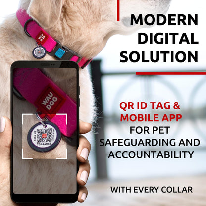 Waterproof Dog Collar Adjustable Dog Collar for Large Dogs Small and Medium Dogs Breakaway Dog Collar Waterproof with Plastic Buckle and QR Dog Tag Boy & Girl Dog Collars (Pink)